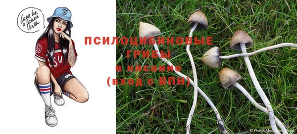 кокс Лабытнанги