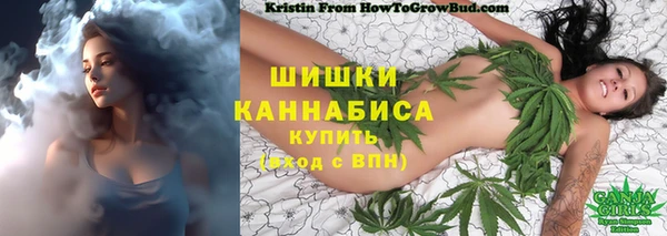 соль ск Ладушкин