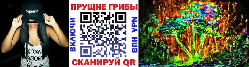Псилоцибиновые грибы Psilocybine cubensis  где купить   Мосальск 