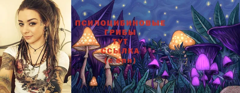 где продают   Мосальск  mega ссылки  площадка Telegram  Псилоцибиновые грибы Psilocybine cubensis 